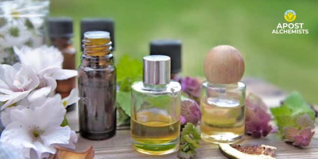 Aromatherapy and the Power of Essential Oils Understanding the Benefits and Uses_V1